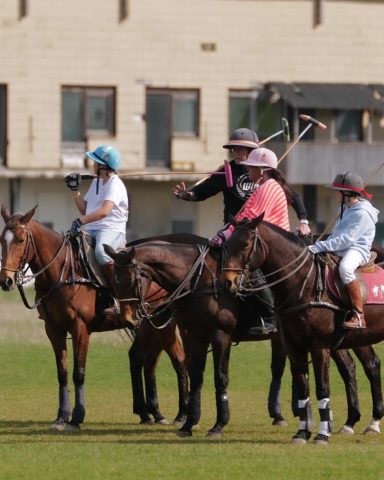 Training mit Thomas Winter im Munich Polo Center